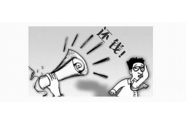 奉贤遇到恶意拖欠？专业追讨公司帮您解决烦恼